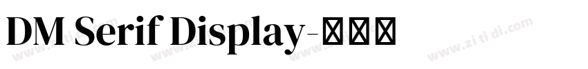 DM Serif Display字体转换